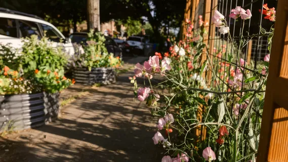 Nostrana Garden