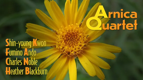 Concerts Arnica Quartet