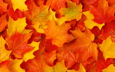 Blog October