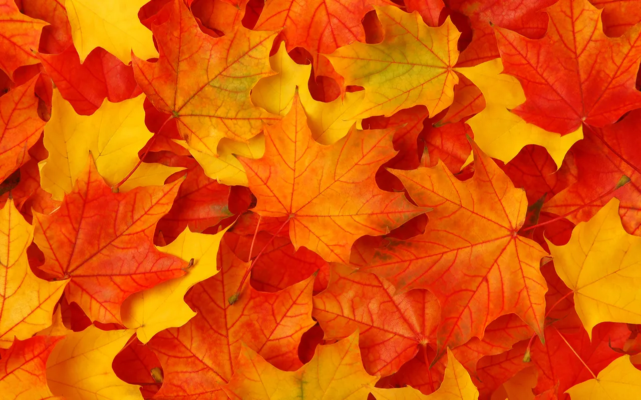 Blog October